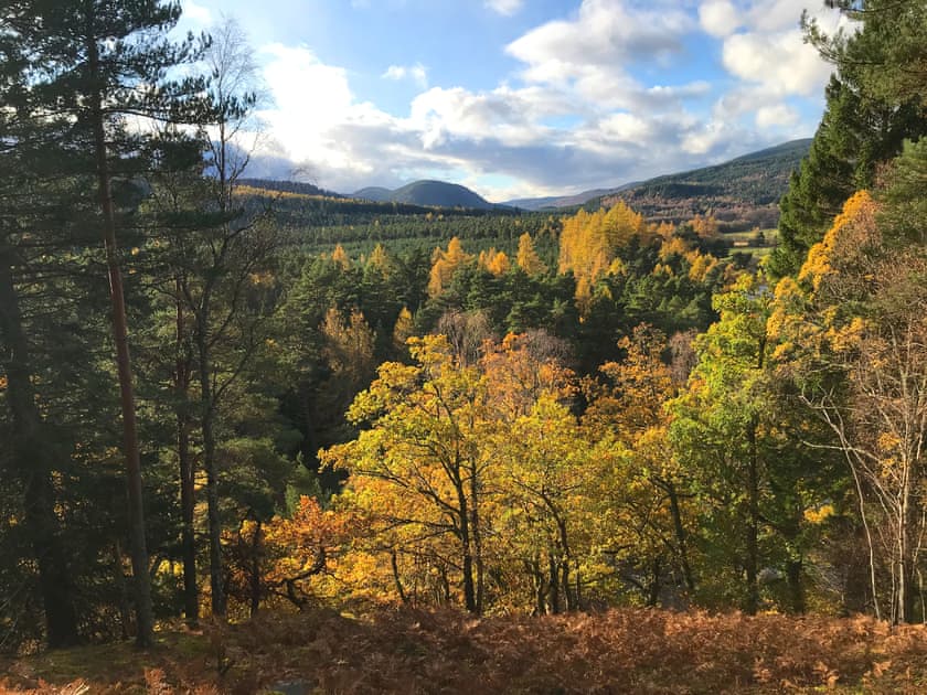 Surrounding area | Pine Tree Cottage - Bonn Na Coille Cottages, Ballater