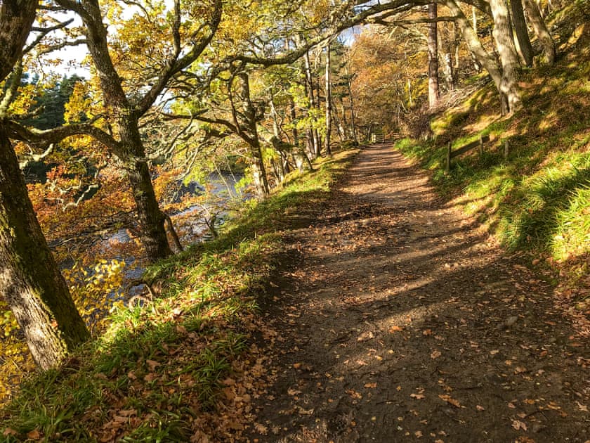 Surrounding area | Pine Tree Cottage - Bonn Na Coille Cottages, Ballater