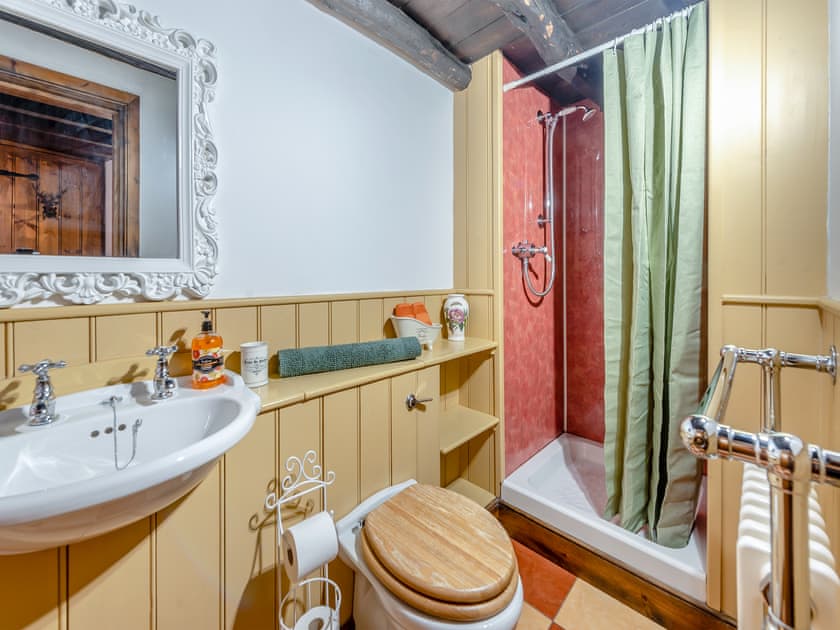 Bathroom | Yr Hen Efail, Abergorlech