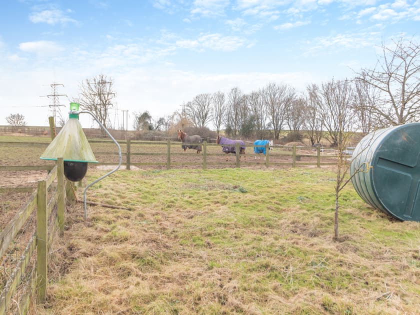 Outdoor area | Sycamore Farm, Ipswich
