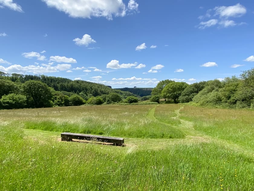 Surrounding area | The Nook - Coastal Wood Holidays, Marros, near Amroth