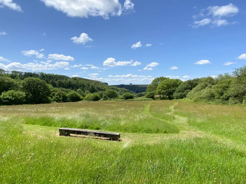 Surrounding area | Keeper’s Cottage - Coastal Wood Holidays, Marros, near Amroth