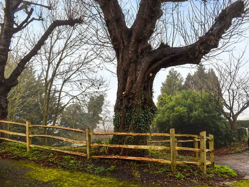Surrounding area | Stone Hill Oast Annexe, Egerton, near Ashford