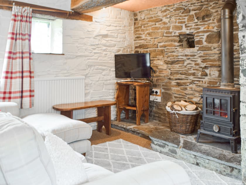 Living area | Ty Tarw - Cwmiar Holiday Cottages, Llanllwni