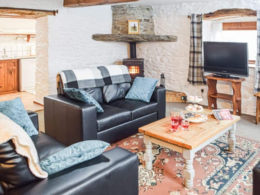 Living area | Y Beudy - Cwmiar Holiday Cottages, Llanllwni