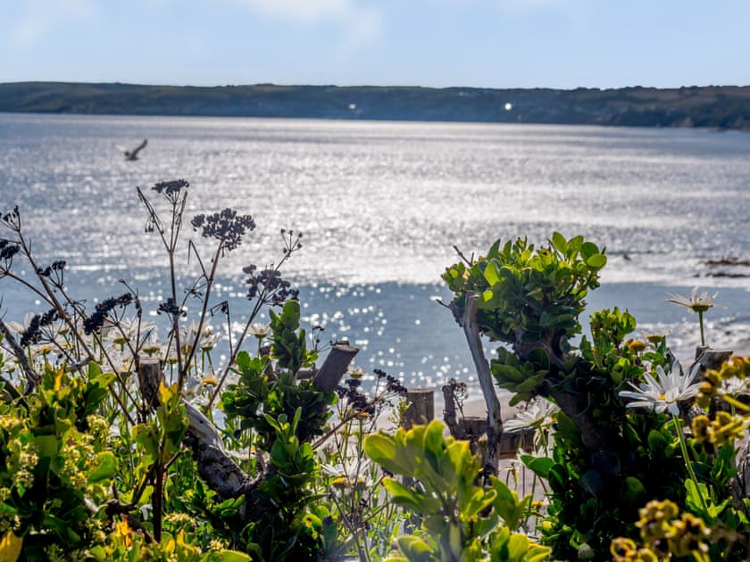 Surrounding area | By The Beach, Downderry and Seaton, near Looe