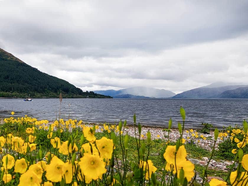 Shore front onto Loch Linnhe. A 5 minutes walk away  | Roe Deer Cottage, North Ballachulish, near Glencoe
