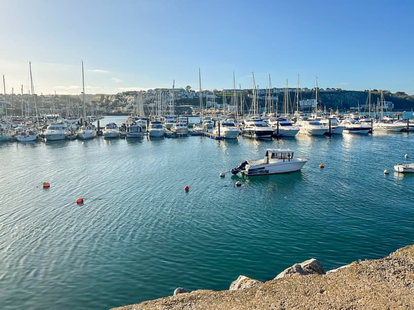 Surrounding area | 9 Dolphin Court, Brixham