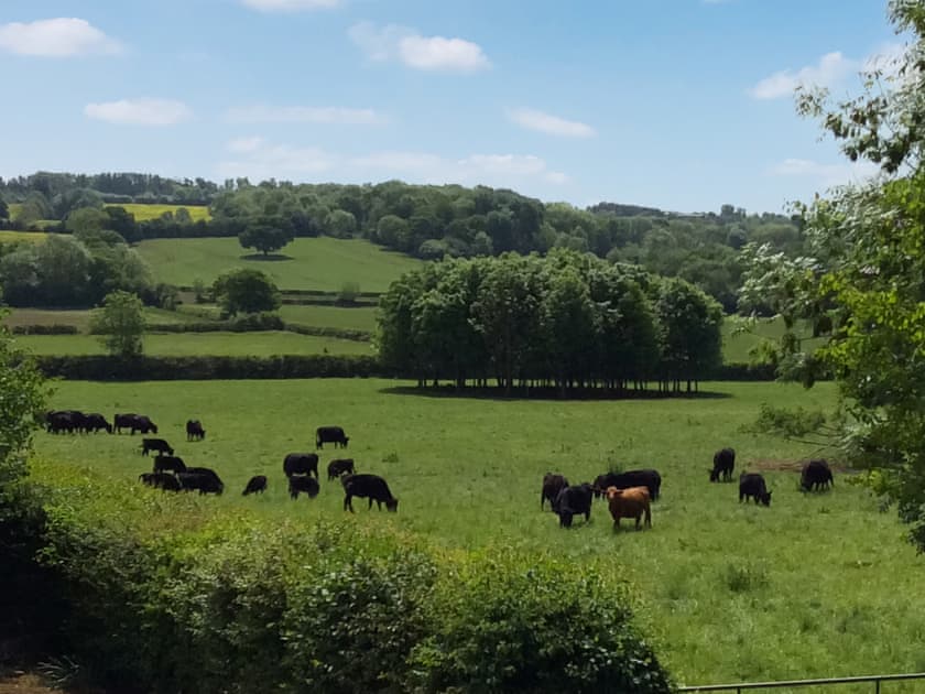 Surrounding area | The Garden Room, Woodeaton, near Oxford