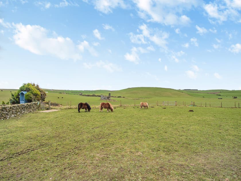 Surrounding area | Seascape Barn, Kirkcolm, near Stranraer