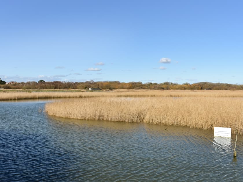 Surrounding area | Oakmere, Fareham