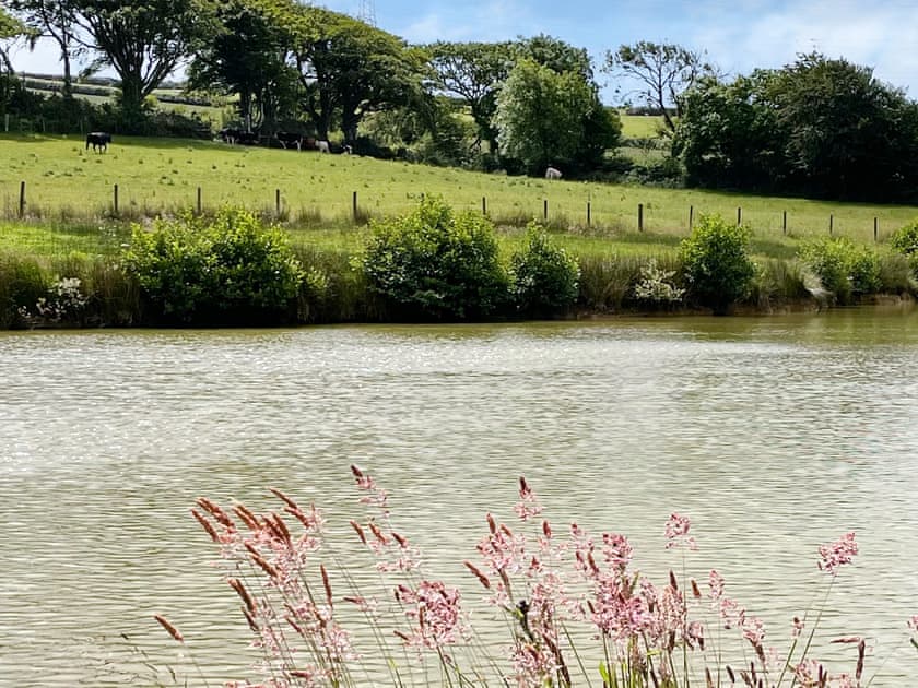 Surrounding area | Ash Tree Cottage - Great Trevillian Farm Barns, Warbstow, near Crackington Haven