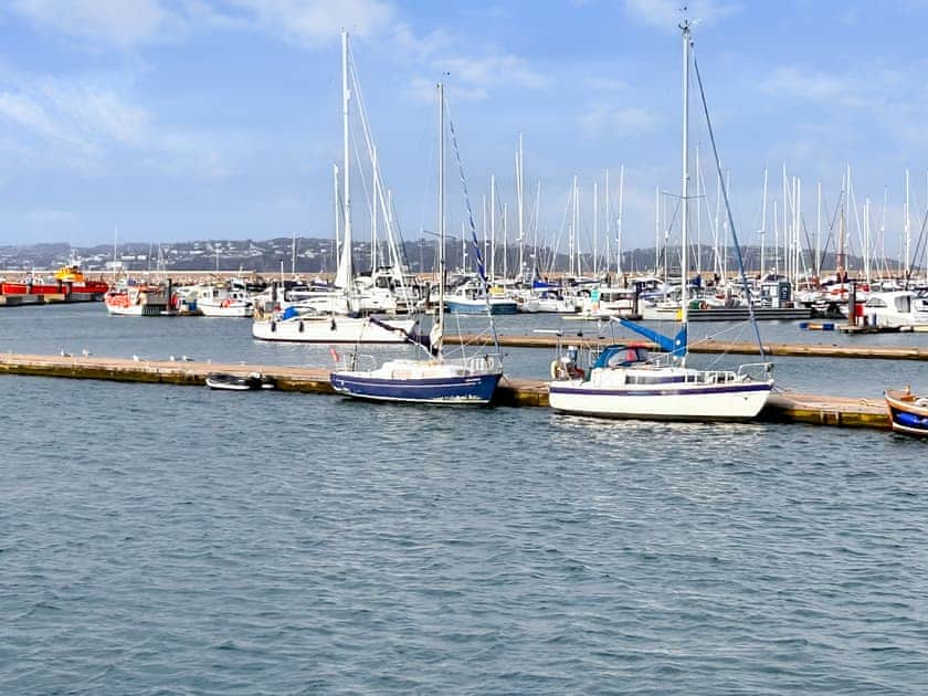 Surrounding area | Avocet 1 - The Cove, Brixham