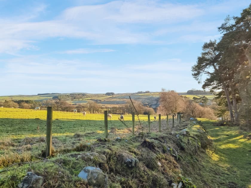 Surrounding area | Middles Cottage, East Woodburn