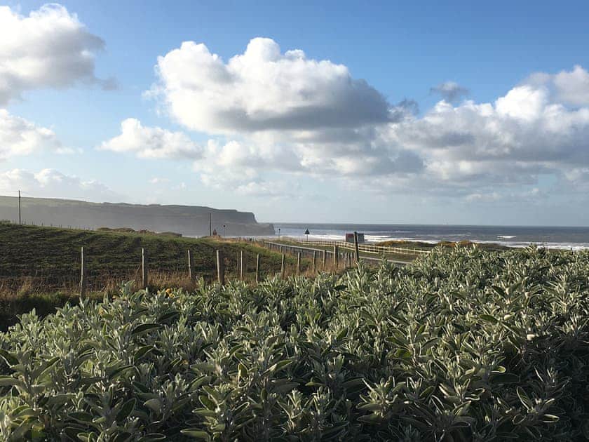 Surrounding area | Toll Bar Cottage, Sandsend, near Whitby