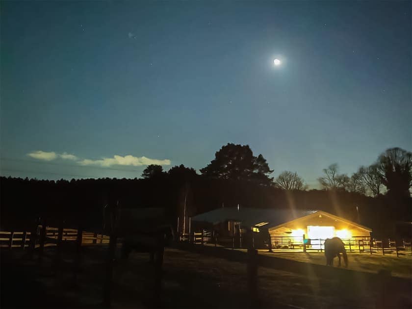 Surrounding area | Sid’s Place, Ringwood