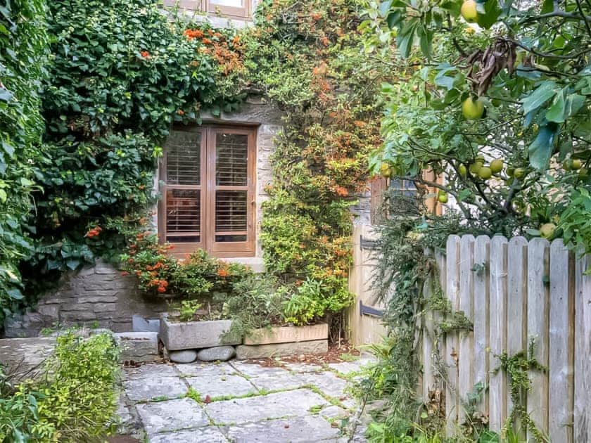 Garden | East View, Acton