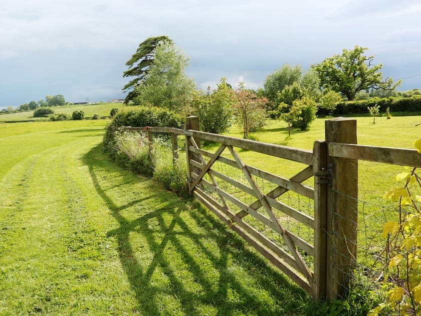 Ten acres of fields for energetic dogs at The Snug | The Snug - Midknowle Farm Cottages, South Barrow, near Yeovil 