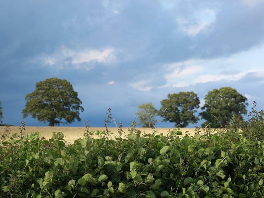 Views and walks from the holiday home | The Snug - Midknowle Farm Cottages, South Barrow, near Yeovil 