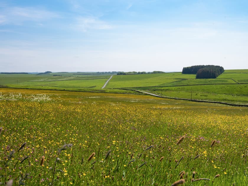 Surrounding area | Grindon Cartshed, Grindon near Haydon Bridge