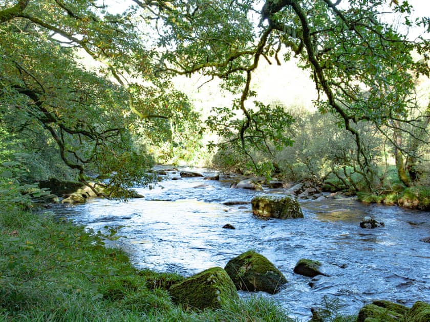 Surrounding area | Little Meadow, Hexworthy, near Yelverton
