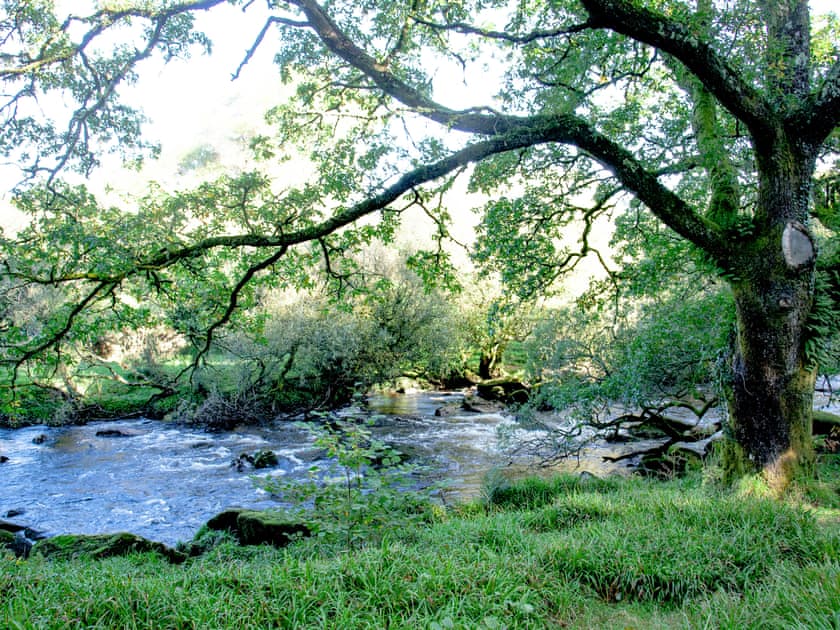 Surrounding area | Little Meadow, Hexworthy, near Yelverton