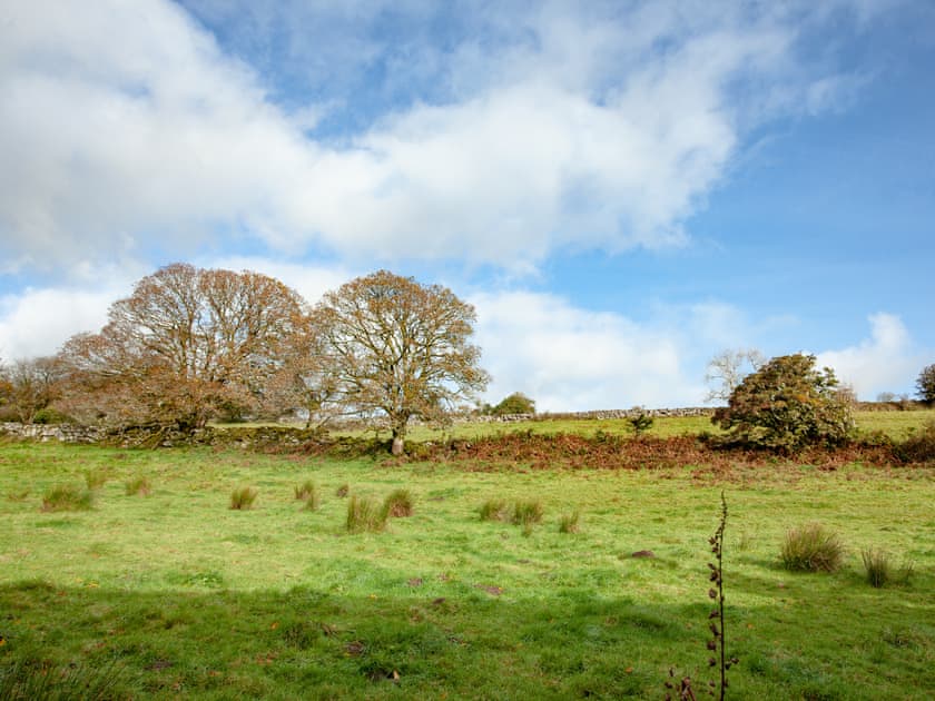 Surrounding area | Little Meadow, Hexworthy, near Yelverton