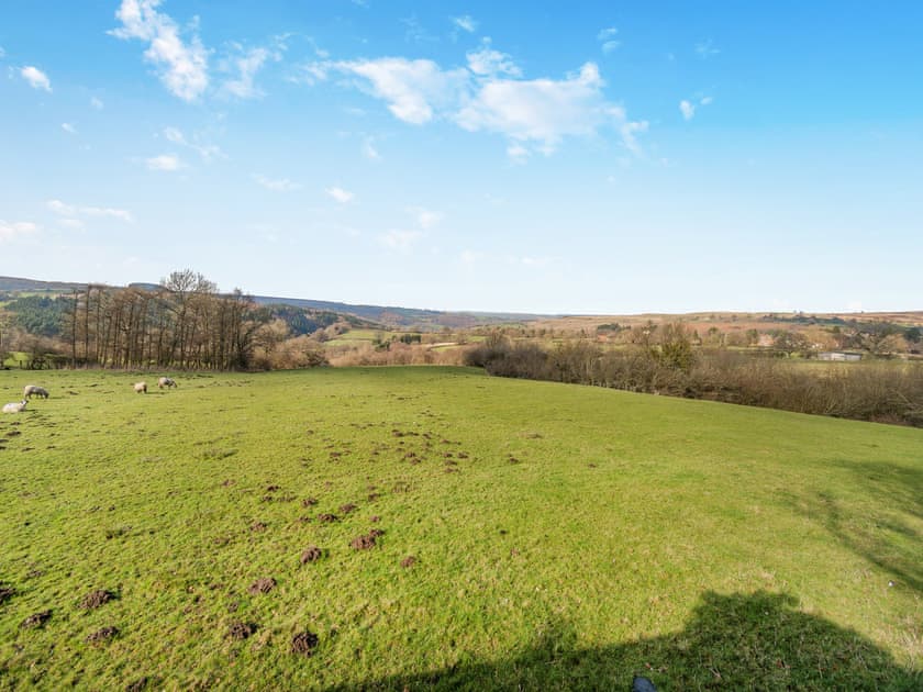 Surrounding area | Heatherdene, Goathland, near Whitby