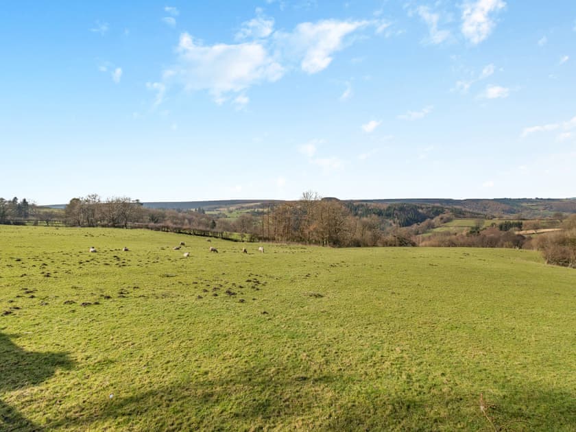 Surrounding area | Heatherdene, Goathland, near Whitby