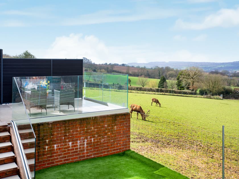 Terrace | Deer View, Ottery St Mary