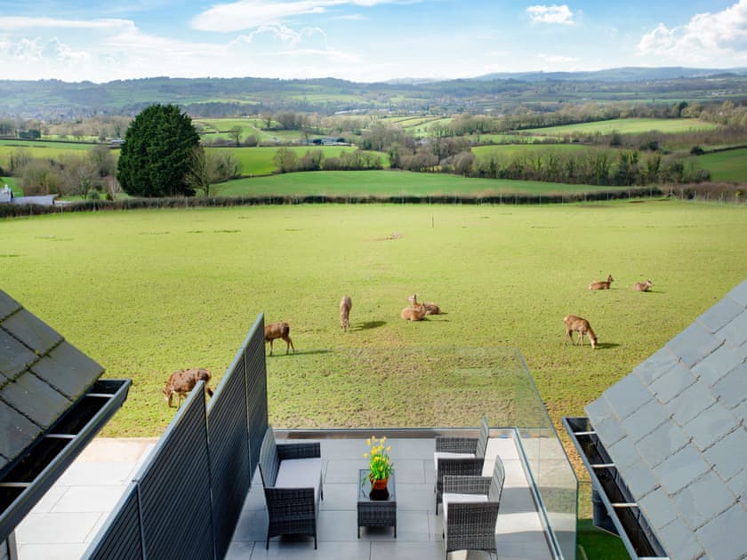 View | Deer View, Ottery St Mary