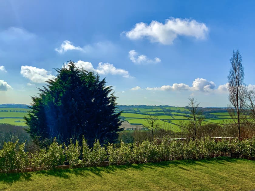 View | Shannon, Newport