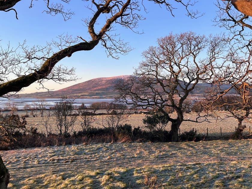 View | The Treehouse @ Caerlaverock - Caerlaverock Estate, Glencaple, near Dumfries