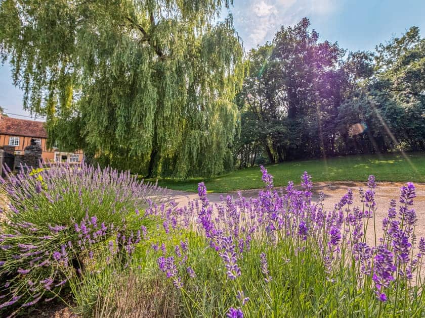 Outdoor area | Belchamp Hall Hayloft - Belchamp Cottages, Belchamp Walter