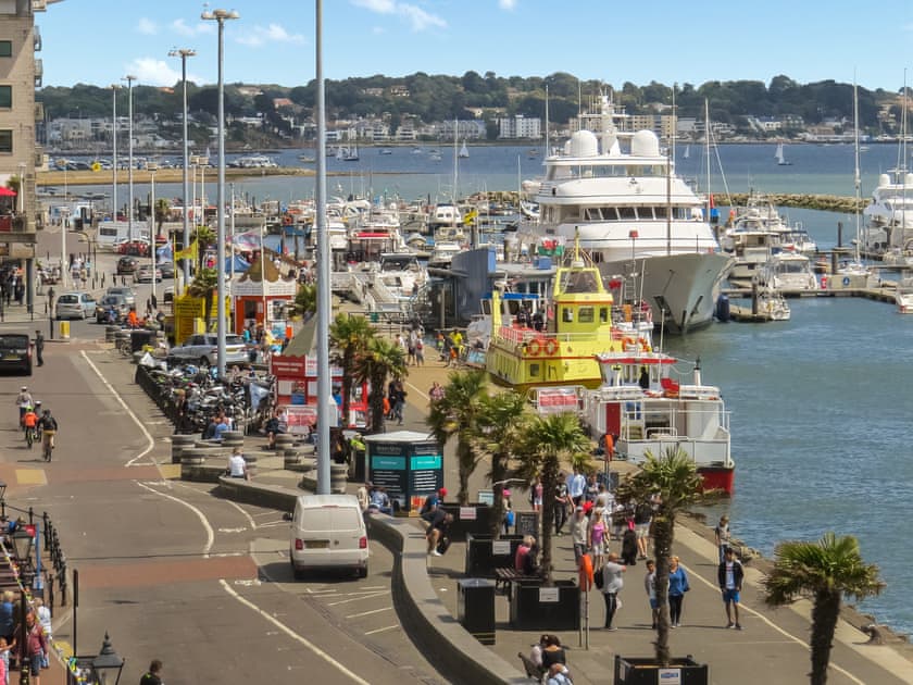 Surrounding area | Endless Summer, Poole