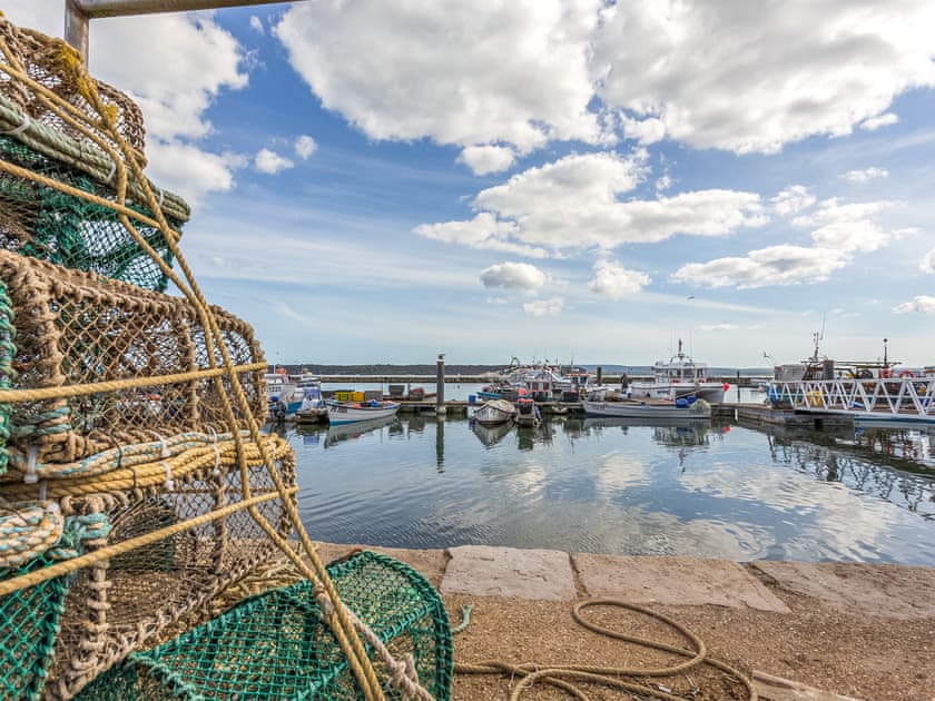 Surrounding area | Endless Summer, Poole