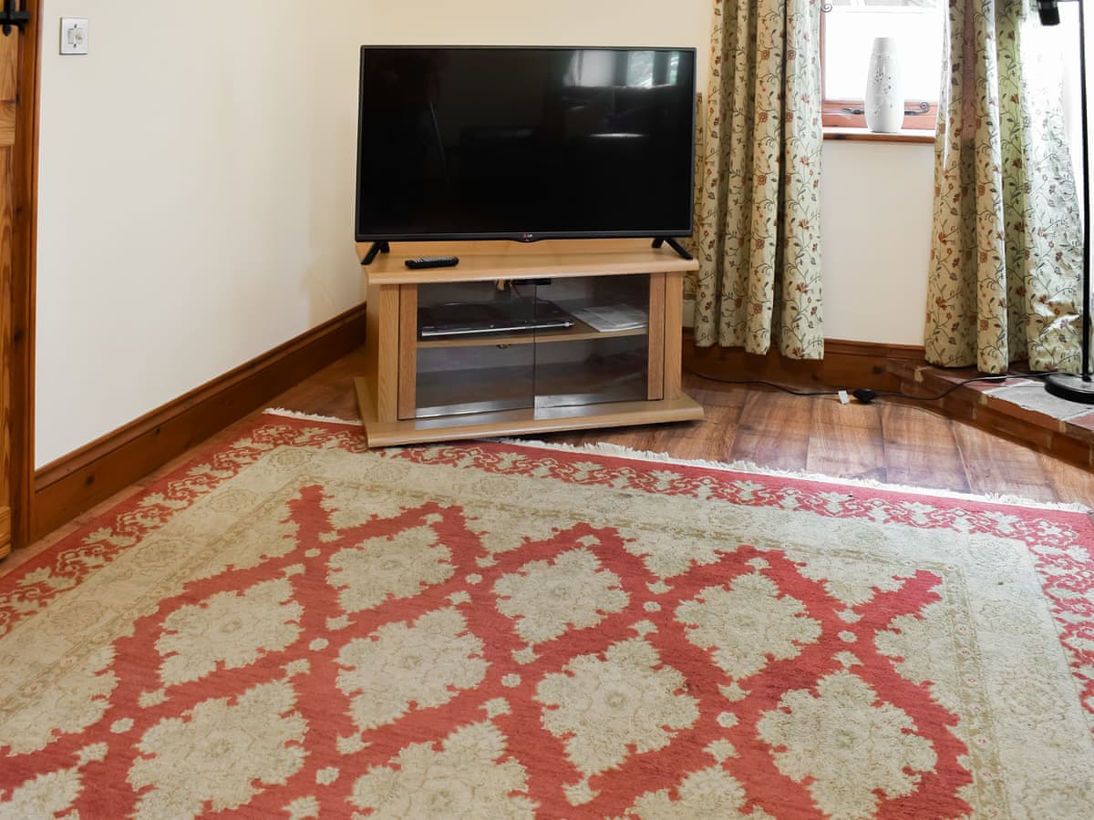 Green Farm -  Flint Lodge - Holiday lodge in East Anglia - Image 3