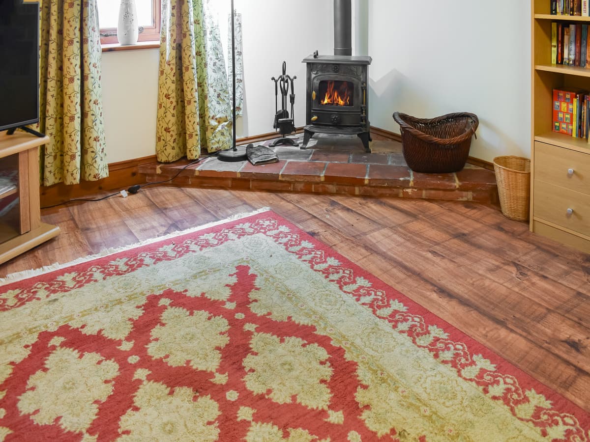 Green Farm -  Flint Lodge - Holiday lodge in East Anglia - Image 4