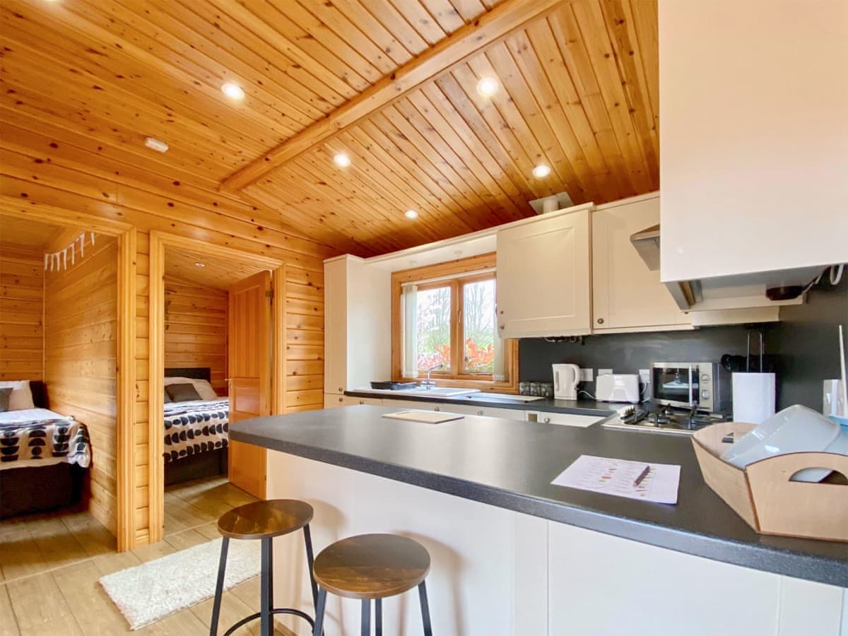 Pinecone Lodges - Pine Lodge - Holiday lodge in South West England - Image 3