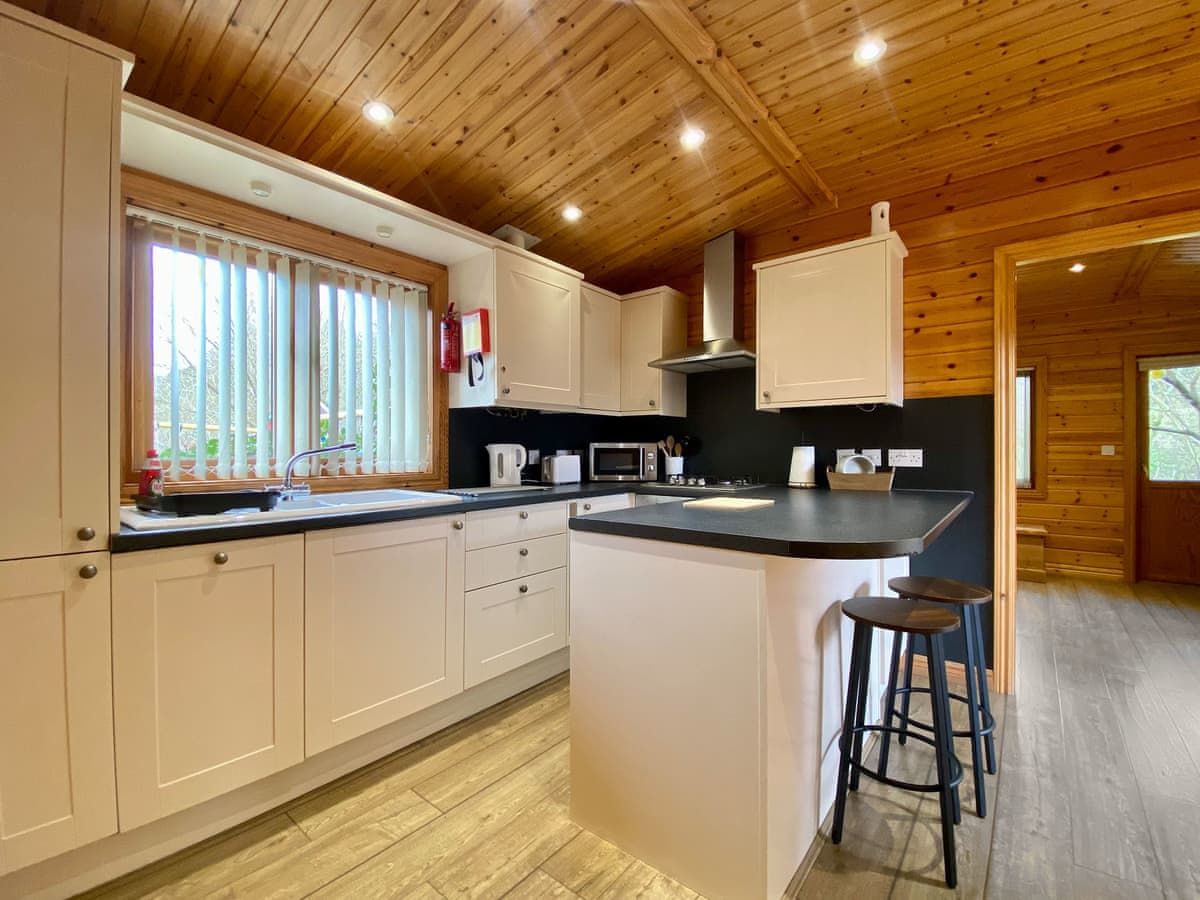 Pinecone Lodges - Pine Lodge - Holiday lodge in South West England - Image 4