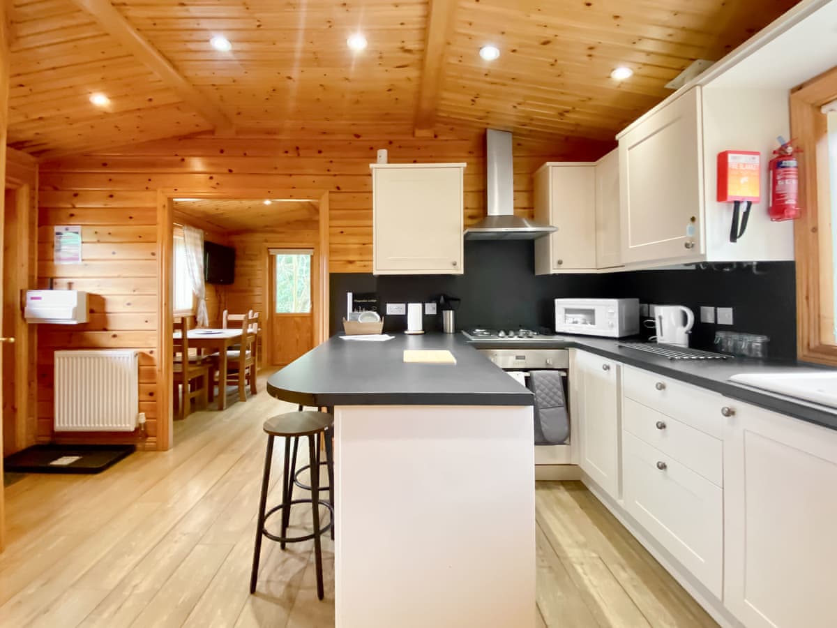 Pinecone Lodges- Magnolia Lodge - Holiday lodge in South West England - Image 3