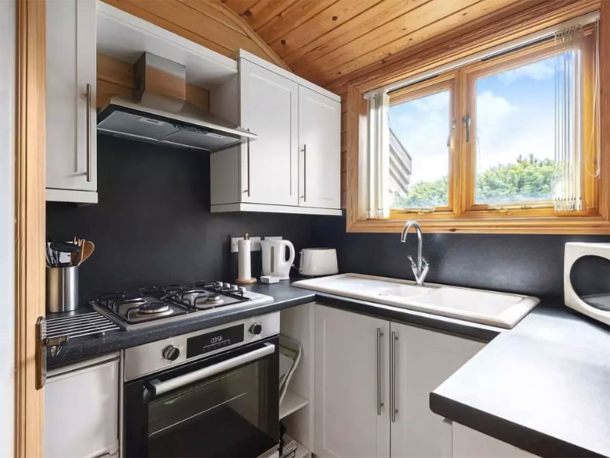 Pinecone Lodges - Maple - Holiday Lodge in South West England - Image 4