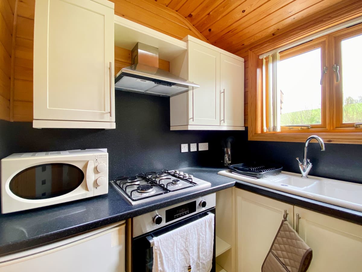 Pinecone Lodges- Apple - Holiday lodge in South West England - Image 3
