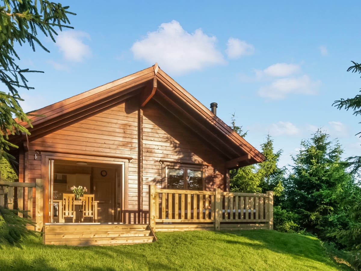 Henning Lodge - Holiday Lodge in South West England - Image 3