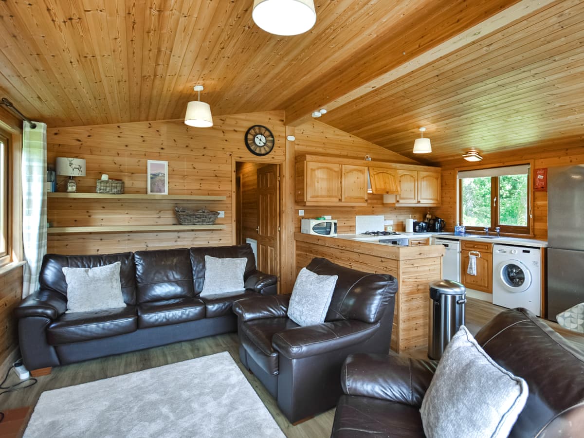 Lomond View Lodge - Holiday lodge in Central Scotland - Image 3