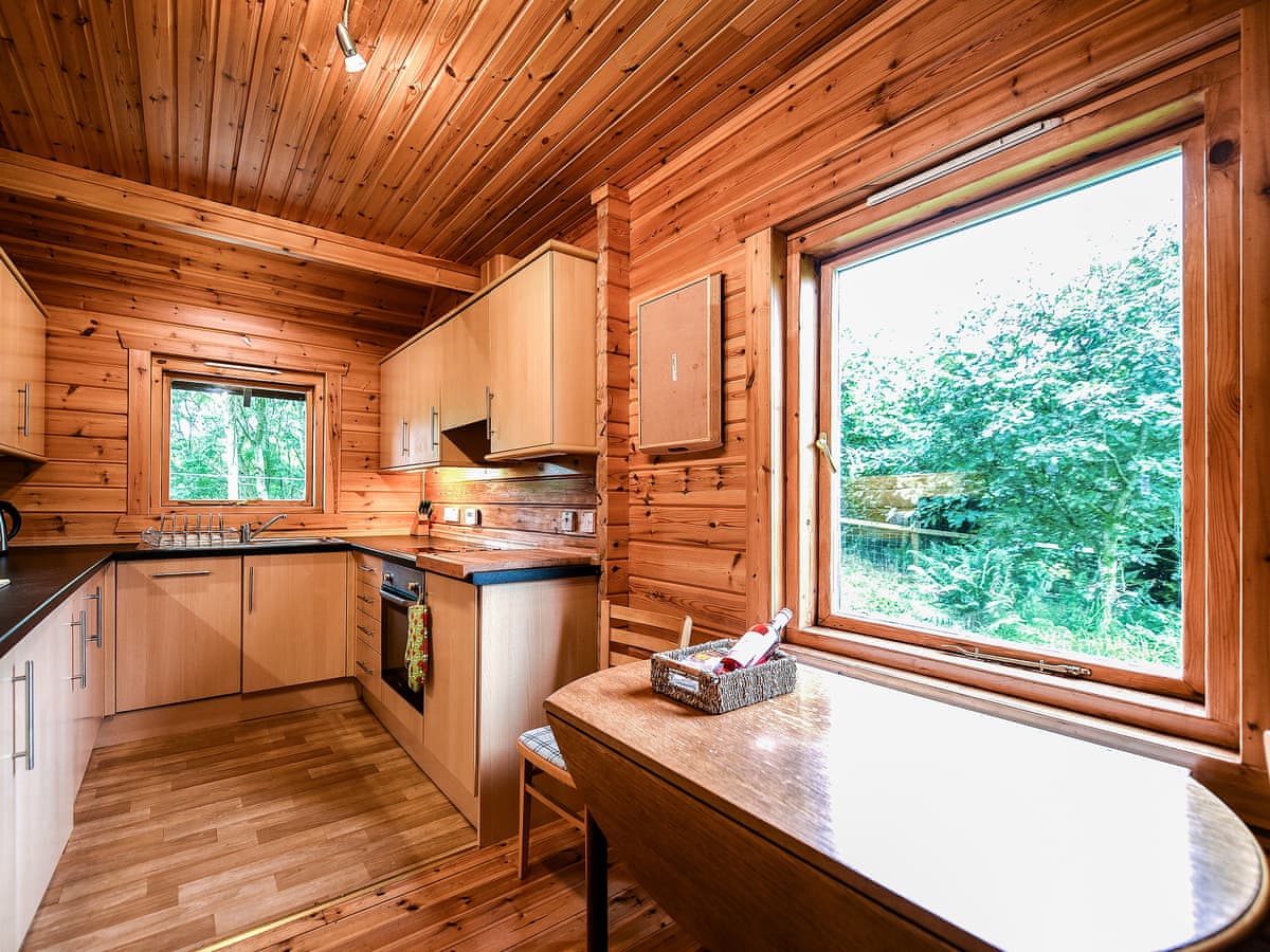 Criffel Lodge - Holiday Lodge in Southern Scotland - Image 5