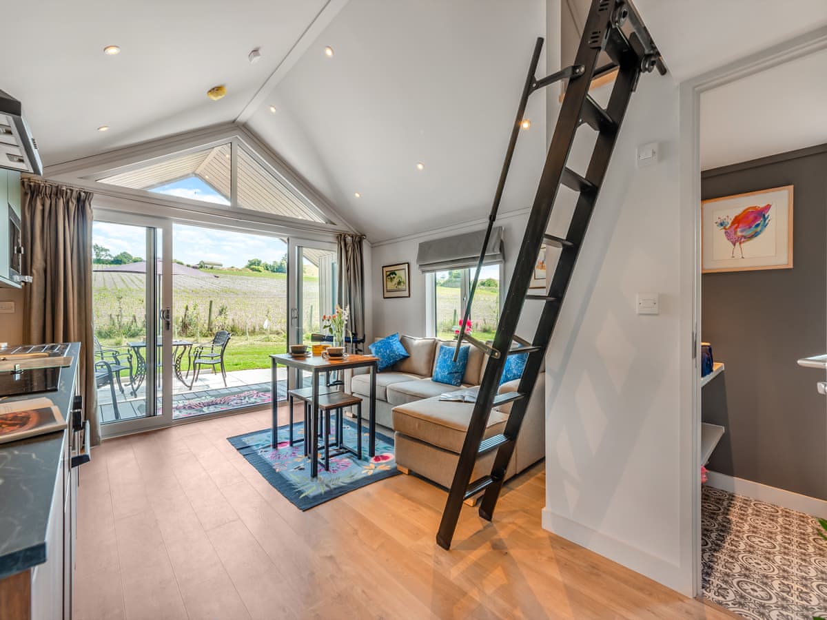 Whitey Top Lodges - Cranborne Chase Stargazer - Holiday Lodge in South West England - Image 4