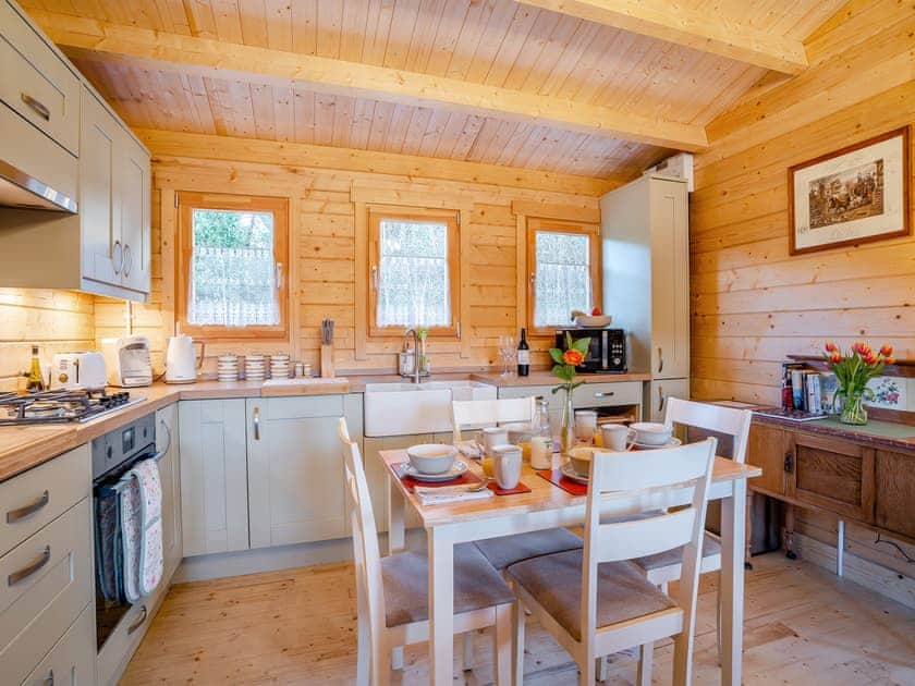 Open plan living space | Dôl Werdd Lodge, Garnant Ammanford