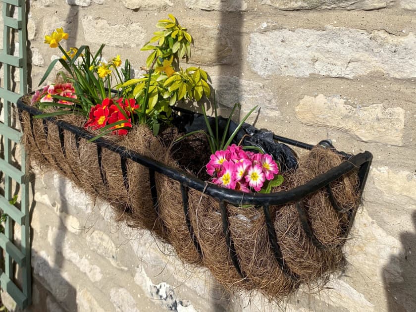 Garden | Box Tree Cottage, Pickering