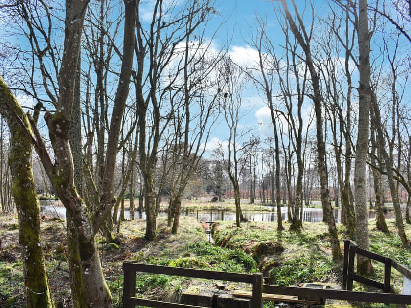 Surrounding area | Delta Saffron, Edzell, near Brechin